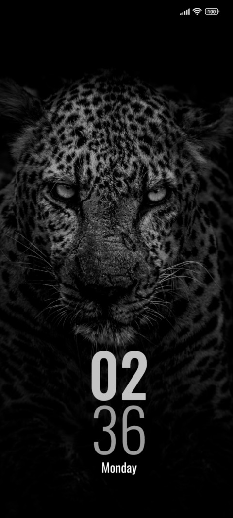 Tiger screenshot