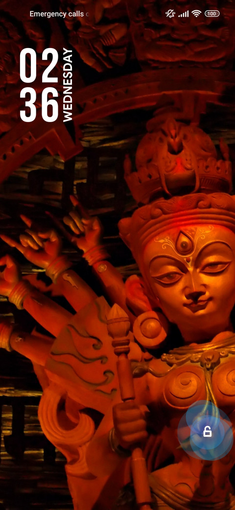 Navratri Fine screenshot