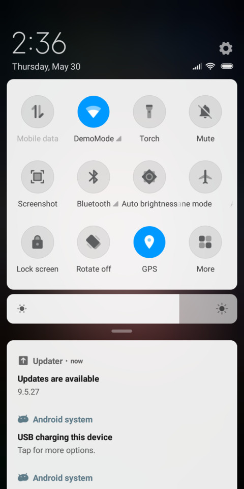 Minnie_DWM19 screenshot