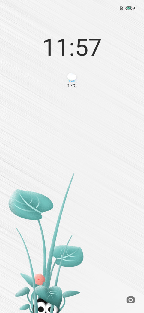 Hide screenshot