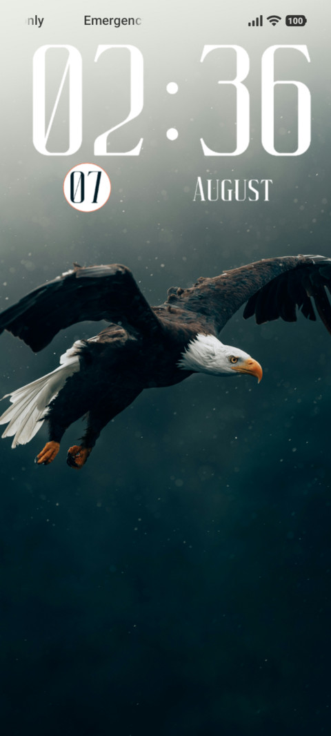 Eagle screenshot