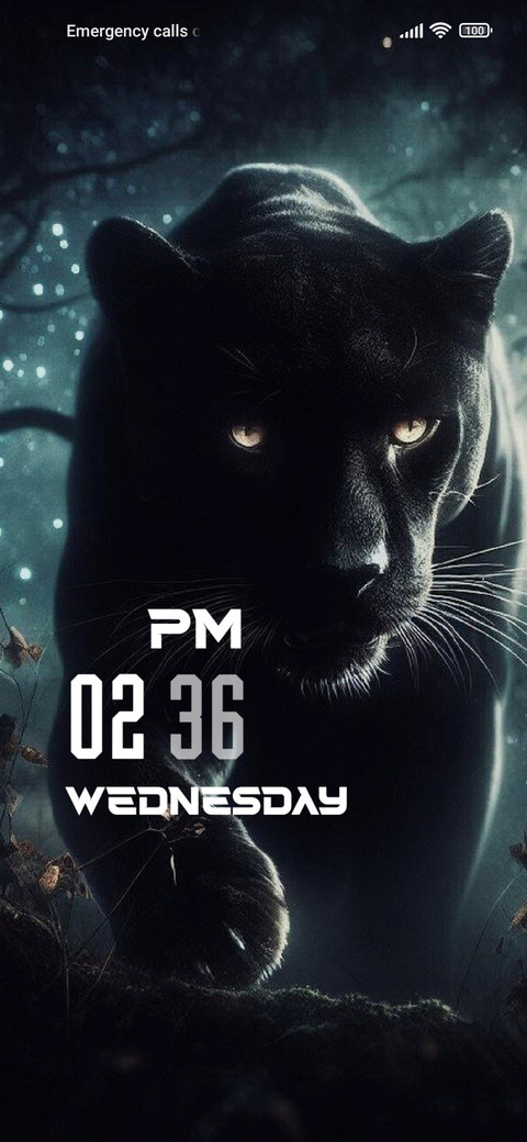 Black Panther screenshot