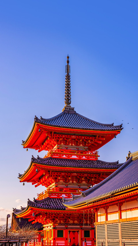 Famous temple on japan, kiyomizudera temple at evening screenshot