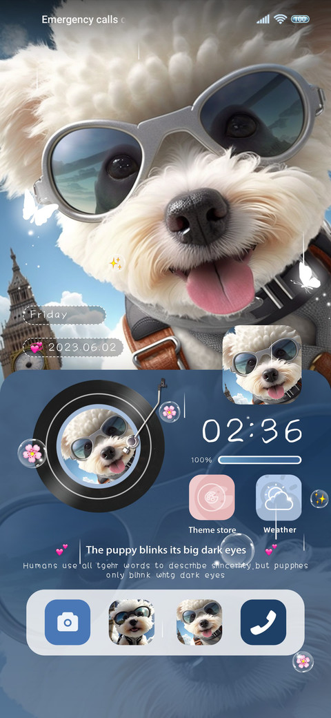 Puppy is an pilot screenshot
