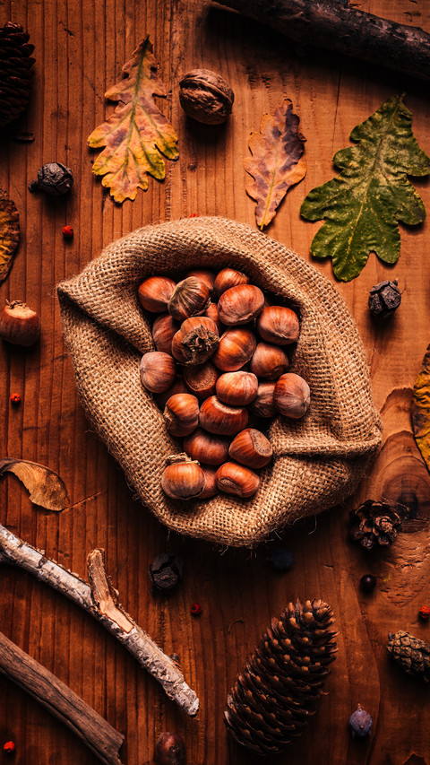 Delicious Dried Hazelnut 61 screenshot