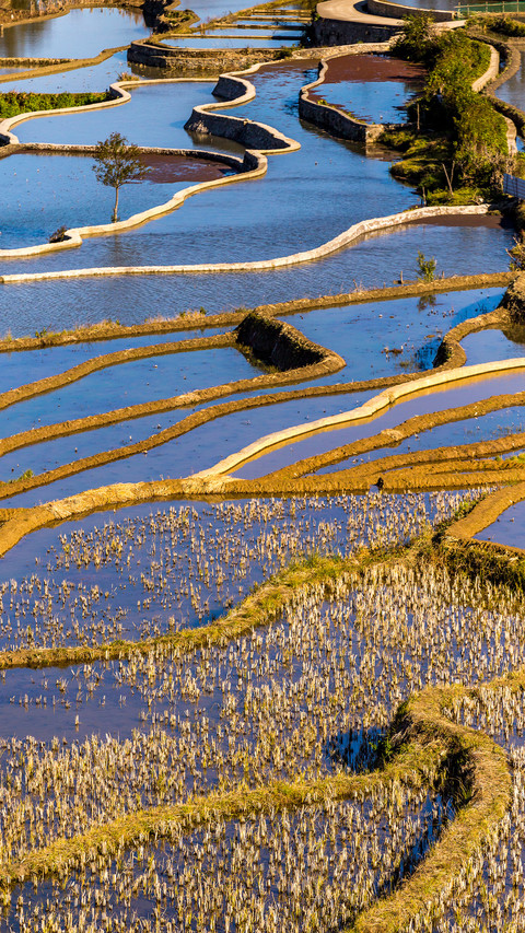 Yunnan yuanyang terraced fields and countryside screenshot
