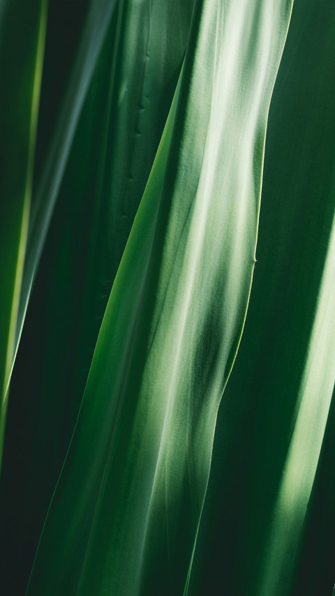 Green eye protection wallpaper screenshot