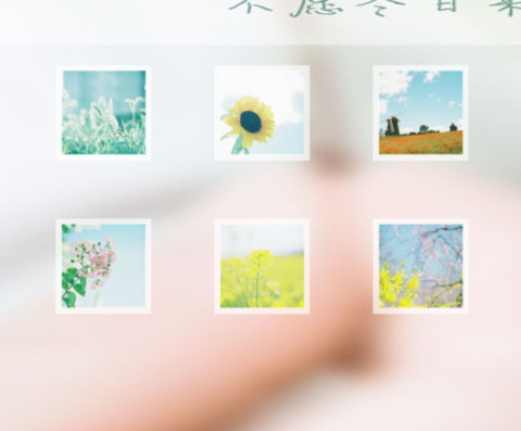 不愿秋风无意 screenshot