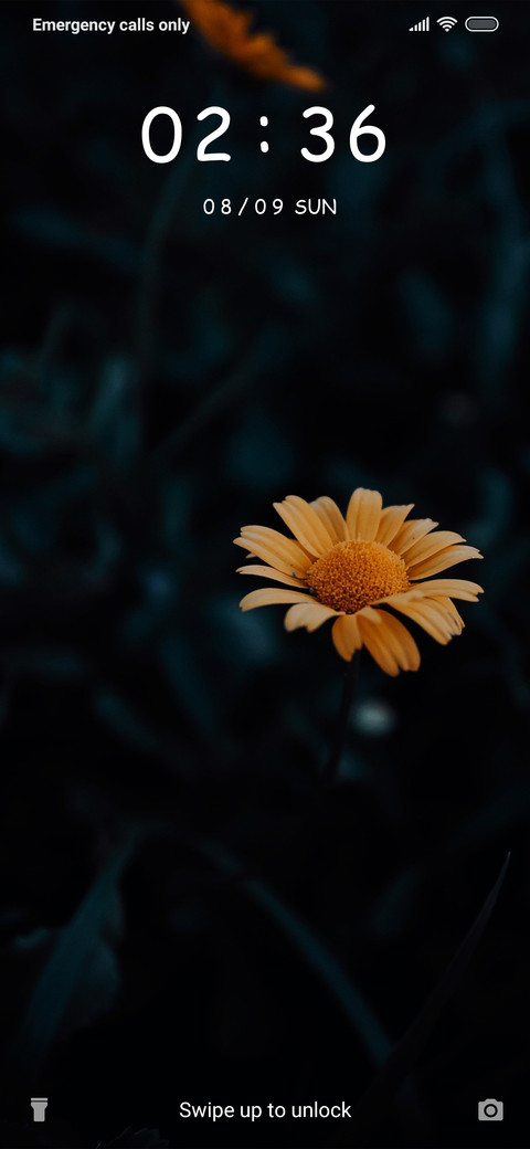 Flower - Blur_3MDS screenshot