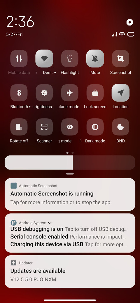 Chips screenshot
