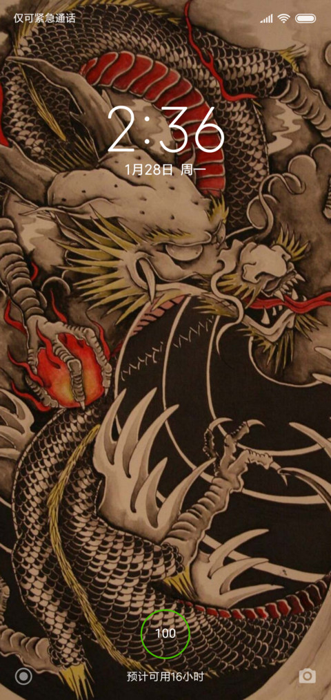 龙 screenshot