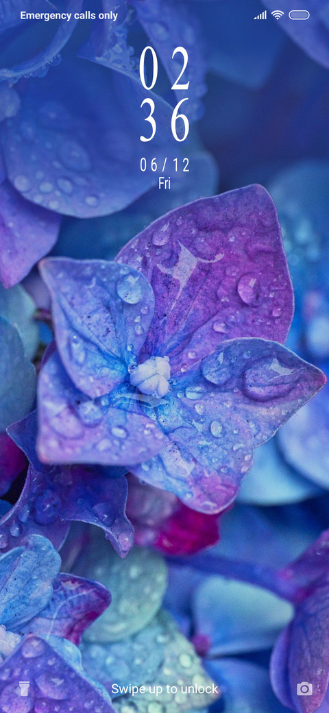 Hydrangea_3MDP screenshot