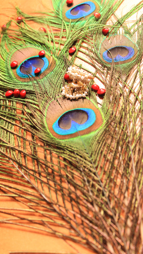 peacock_0002_peacock_0012_图层 3 screenshot