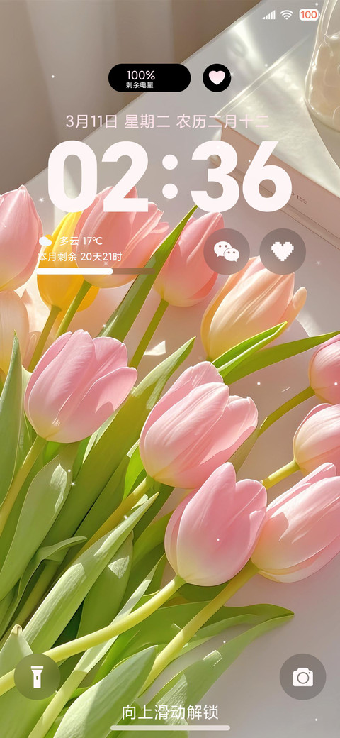 简约ins 春日之约 screenshot