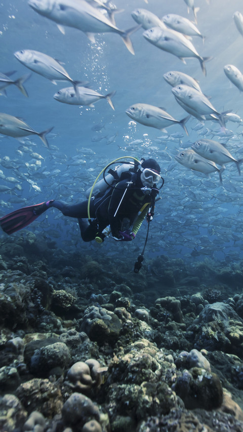 Diver with Fish screenshot