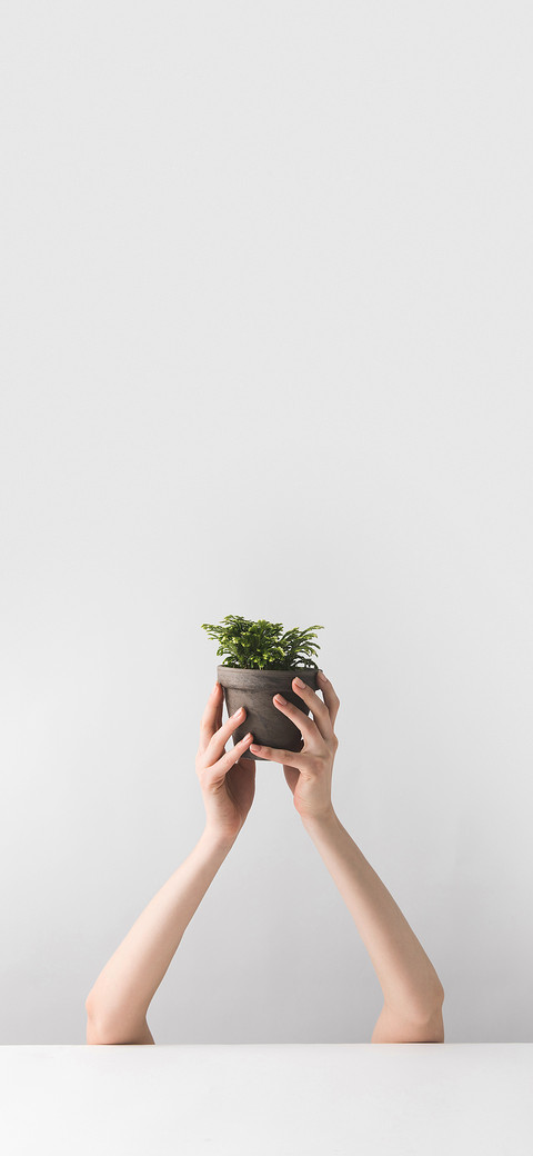 Fresh Potted Plants-PAIXIN screenshot
