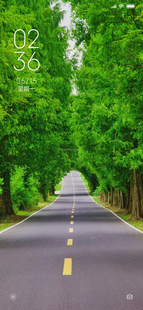简约绿色护眼 screenshot