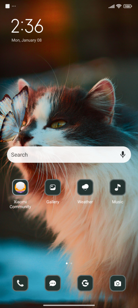 Kitty Moment screenshot