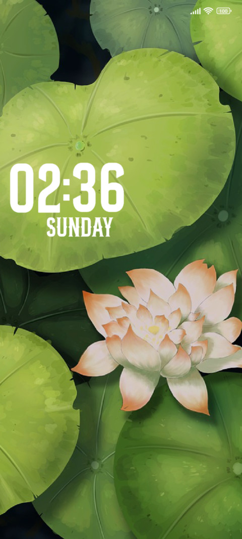 Lily screenshot