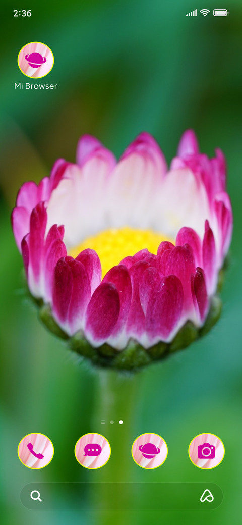 daisy blooming screenshot
