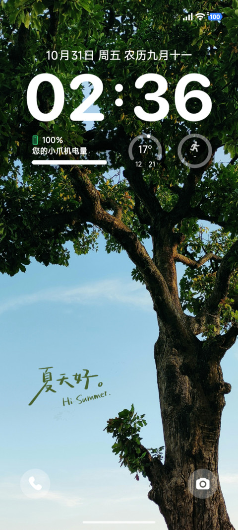 简约夏日凉叶 screenshot