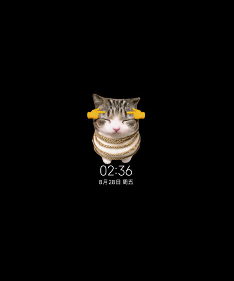 IP27趣味妙脆角小猫 screenshot