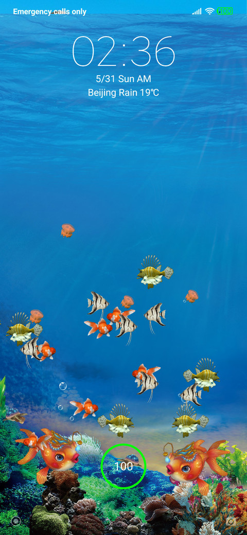 Aquarium and Fish screenshot