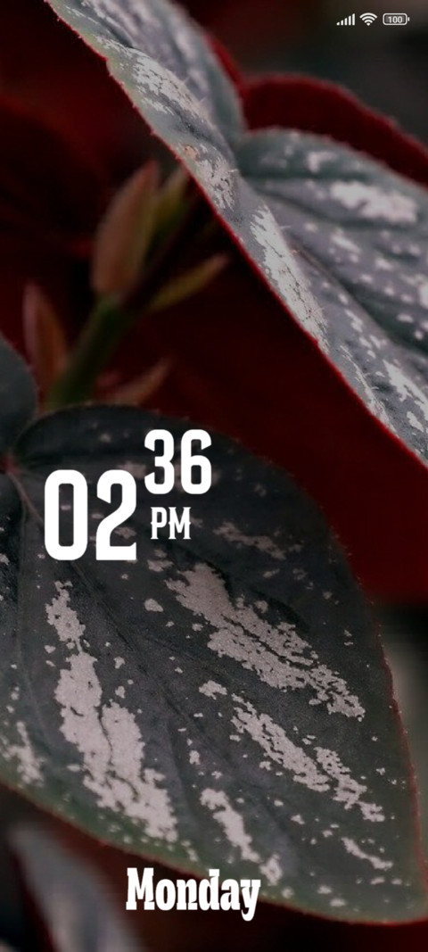 Leaf screenshot