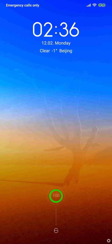 Roots screenshot