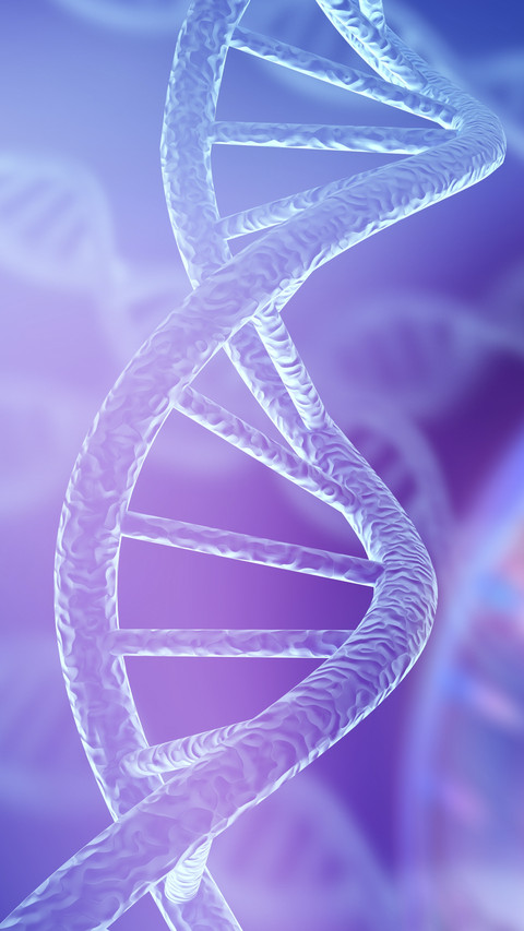 DNA Molecules Structure screenshot