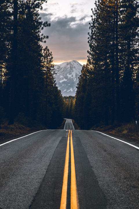 Editor's Choice screenshot