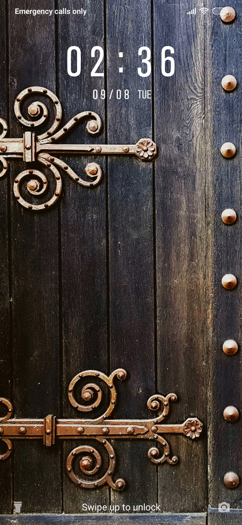 Traditional Door_3MDS screenshot