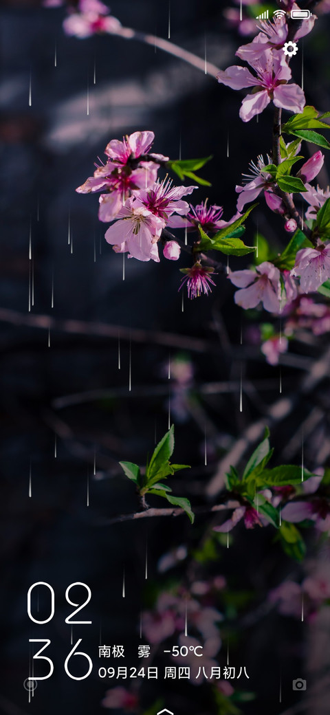 春花 screenshot