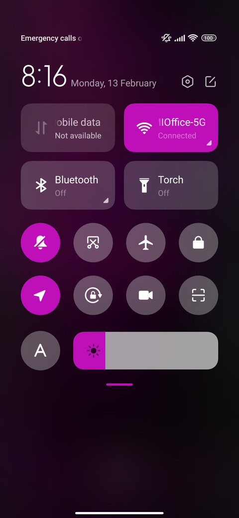 Holi zoom screenshot