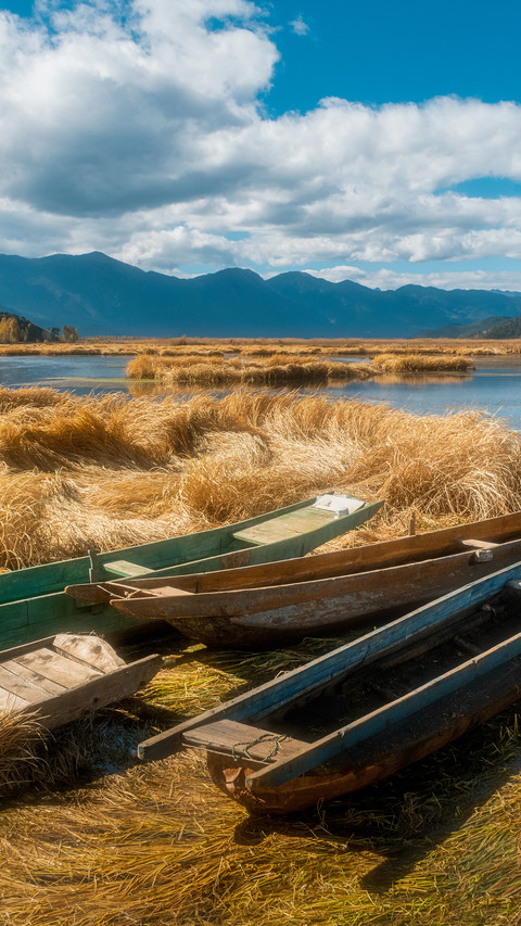 Yunnan lugu lake grass sea blue sky screenshot