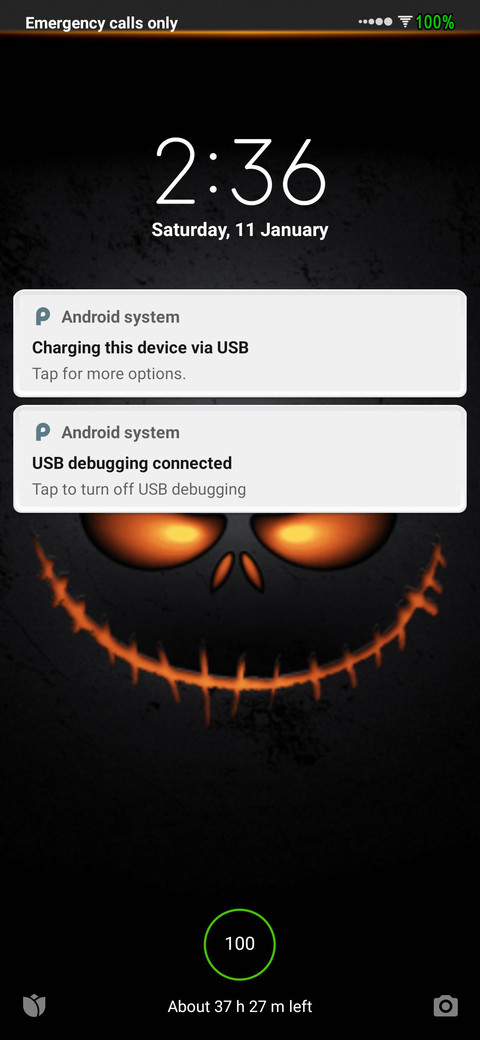 Pug screenshot