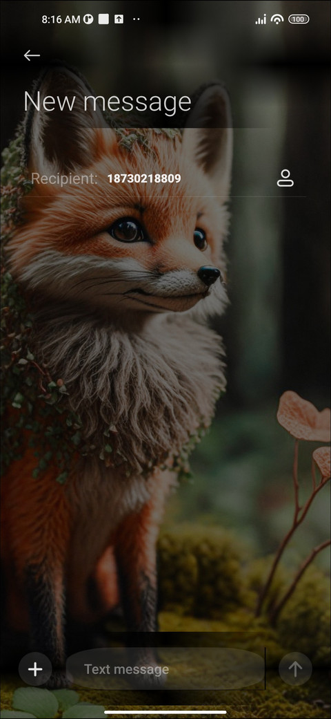 Fox Haven screenshot