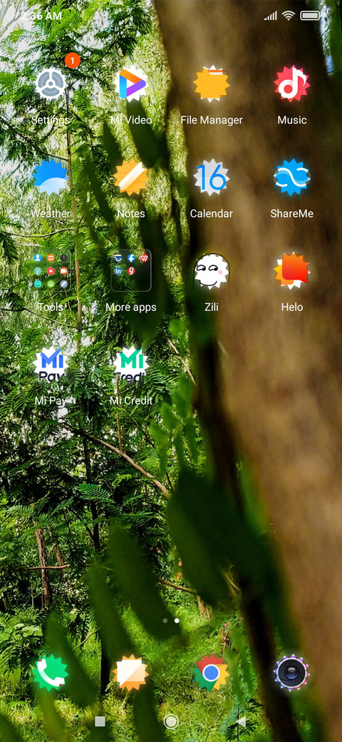 Forest Flora_DWM2 screenshot