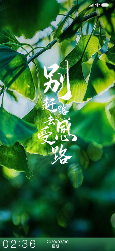 清晨绿植护眼 screenshot