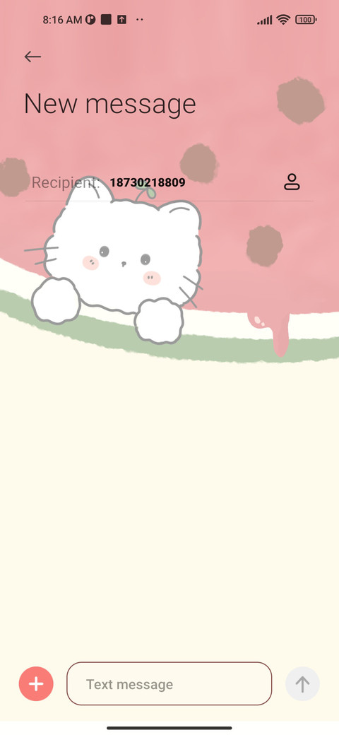 Watermelon Flavor screenshot