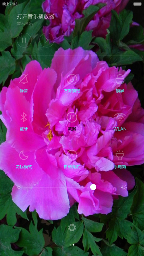 茶语嫣然 screenshot