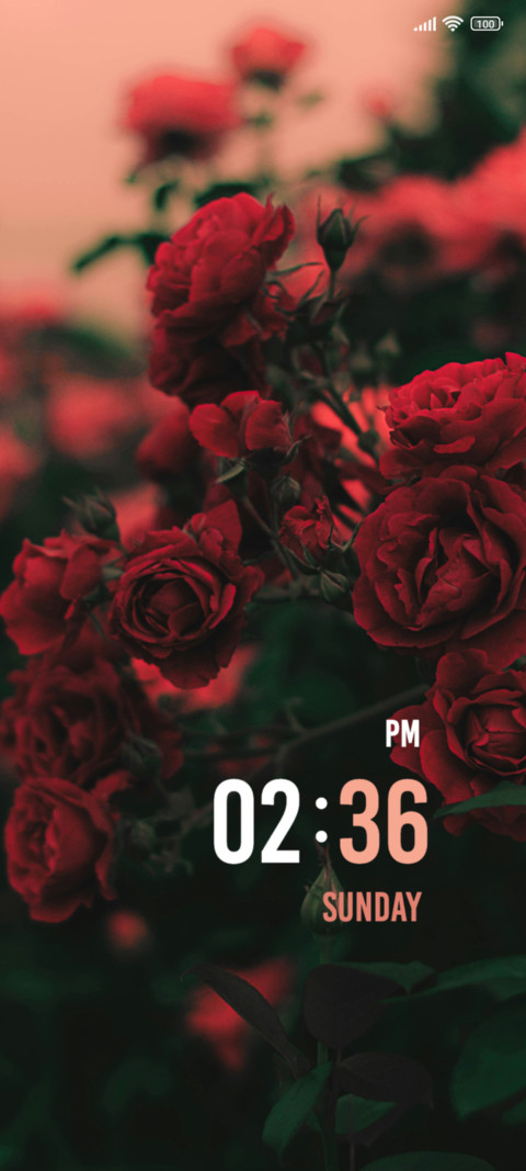 Water Roses screenshot