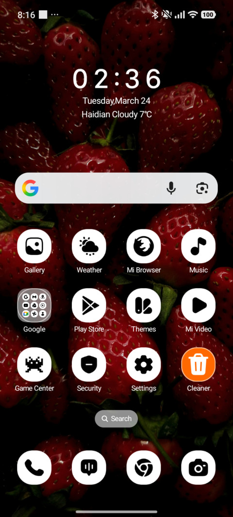 Berry Bloom screenshot