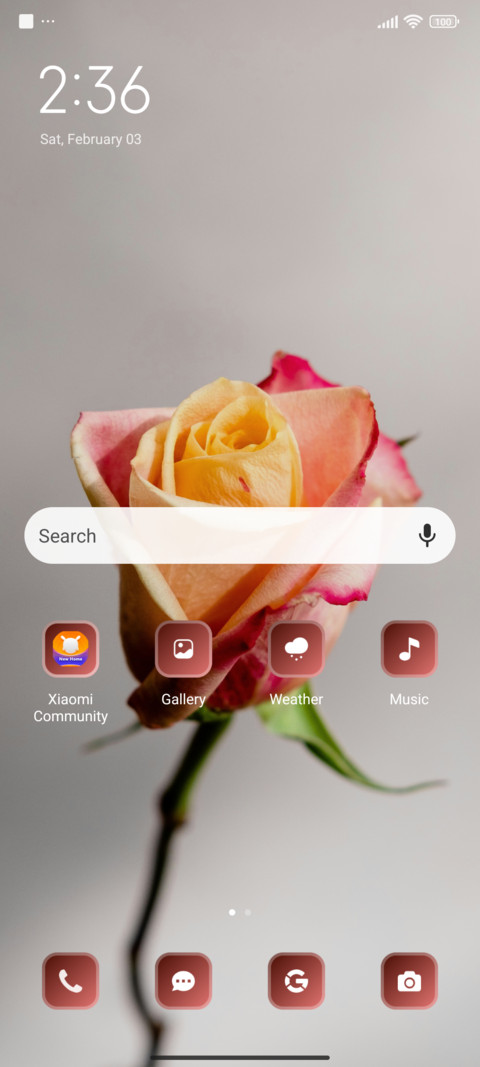 Vibrant Rose screenshot