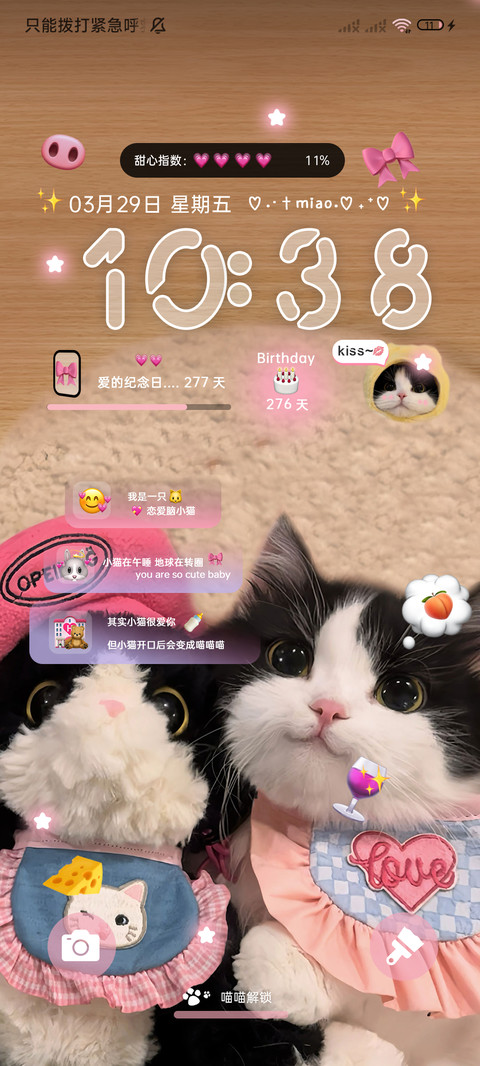 可爱猪咪告白换图 screenshot