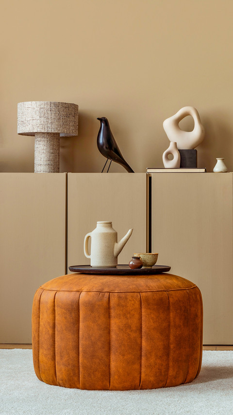 Warm and cozy living room interior with brown sofa screenshot