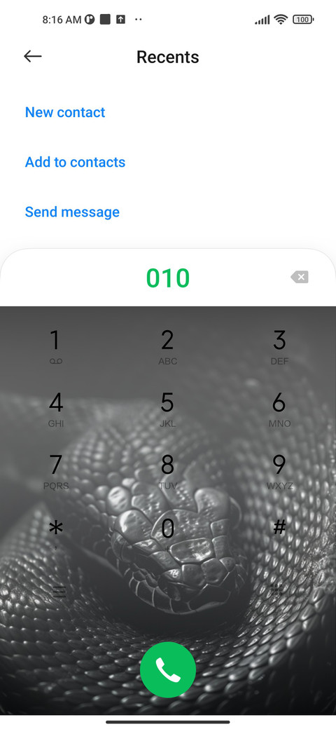 The snake screenshot