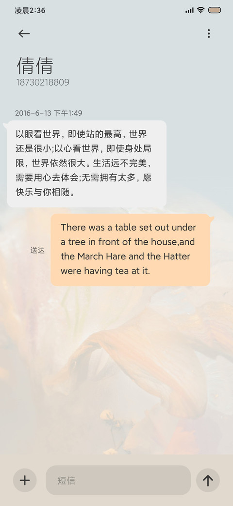 在浪漫中熄灭 screenshot
