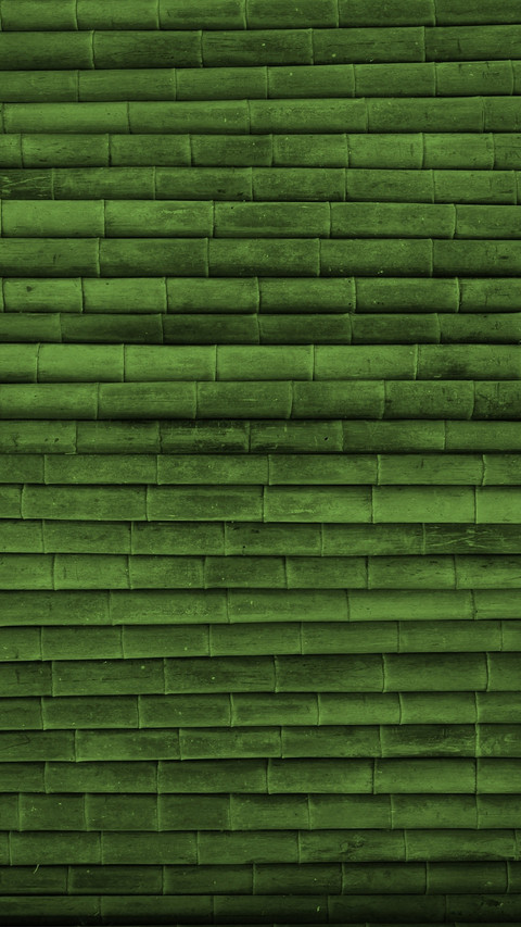 Bamboo screenshot