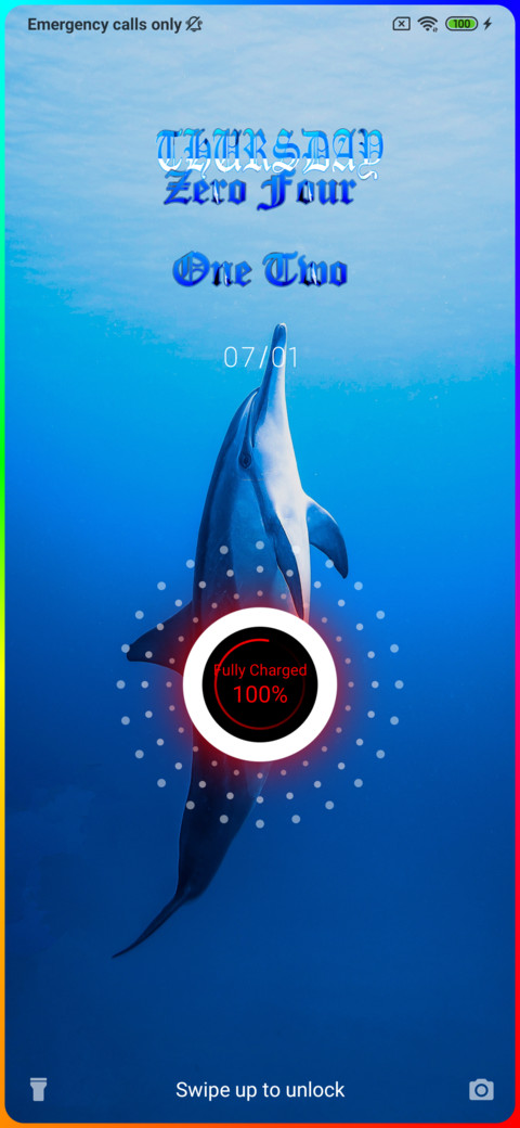 Dolphin Toro screenshot